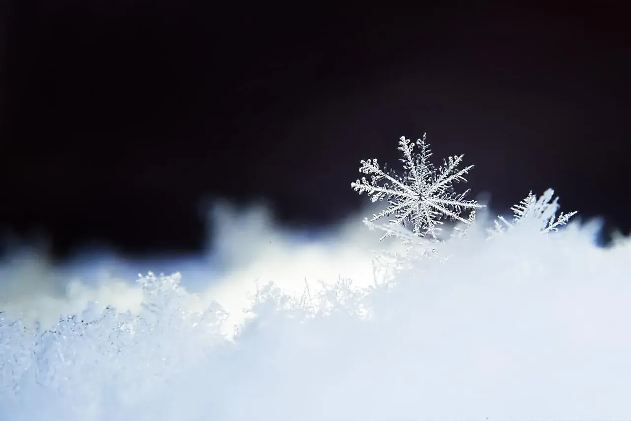 Un flocon de neige unique, délicat et complexe, repose sur un lit de neige scintillante, sous un ciel sombre.