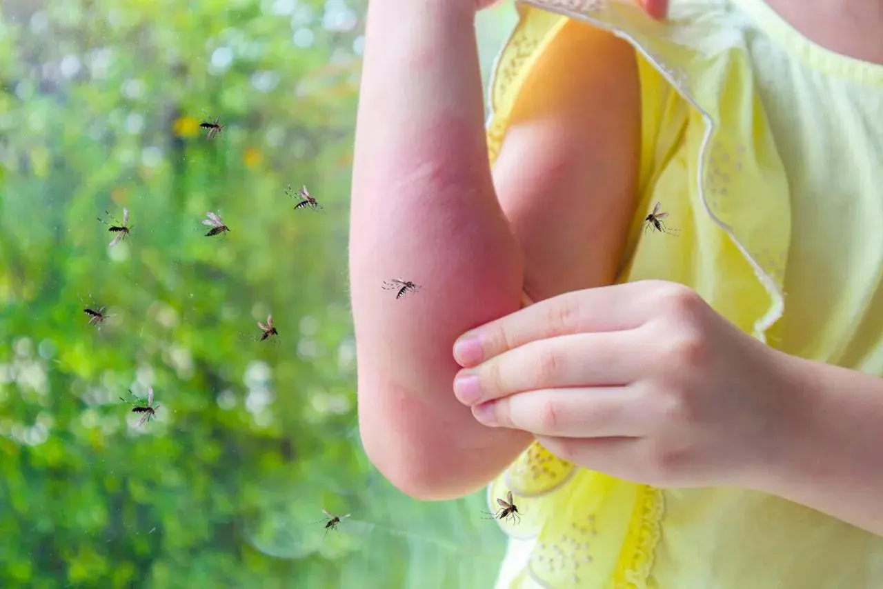 Un enfant se gratte le bras rouge, entouré de moustiques. Une image qui interroge : pourquoi les moustiques piquent certaines personnes ?