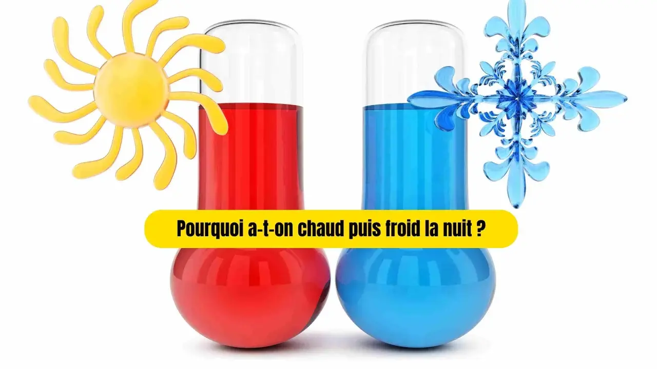 Deux thermomètres, l'un rouge avec un soleil, l'autre bleu avec un flocon, illustrent la sensation chaud froid. La question "Pourquoi a-t-on chaud puis froid la nuit ?" est affichée.