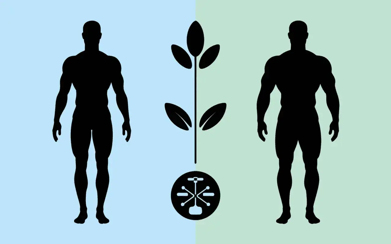 Deux silhouettes masculines au corps un peu musclé encadrent une plante stylisée et un symbole technologique.