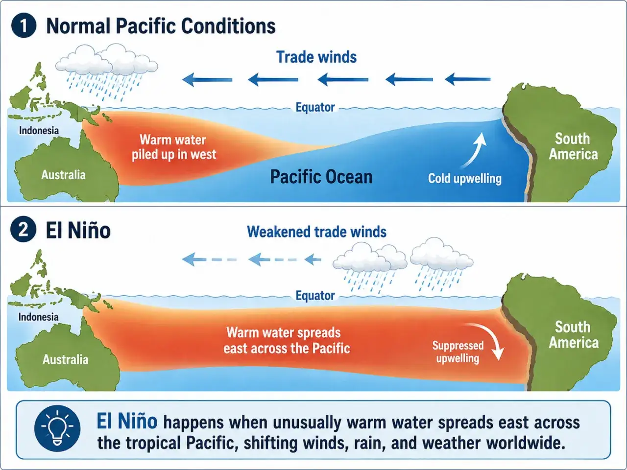Comparaison des conditions normales et d'El Niño dans l'océan Pacifique, montrant le déplacement des eaux chaudes et des vents.