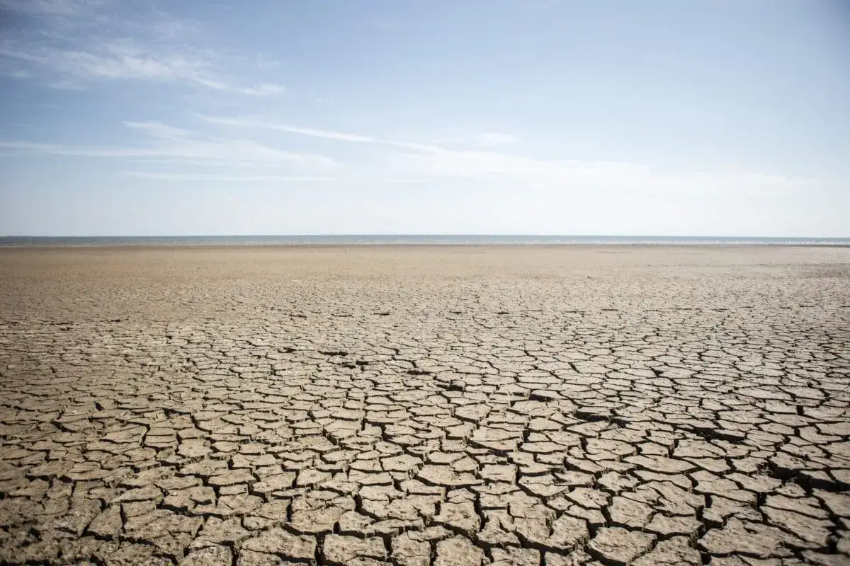 Vaste étendue de terre craquelée, témoignant d'une couche terrestre superficielle asséchée, sous un ciel bleu clair avec quelques nuages.