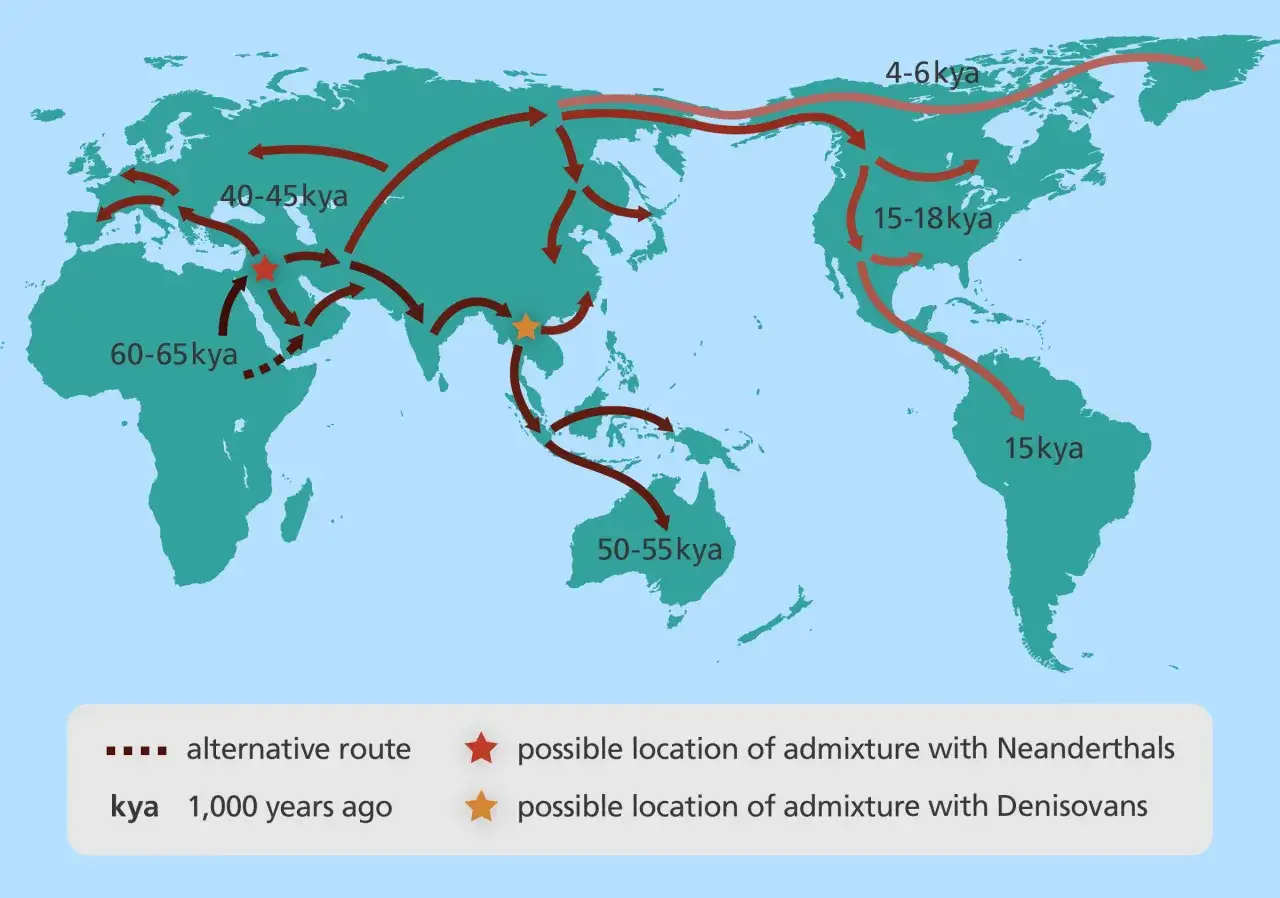 Carte des migrations du Homo sapiens à travers le monde, montrant les routes et les périodes d'expansion, ainsi que les lieux d'admixture.