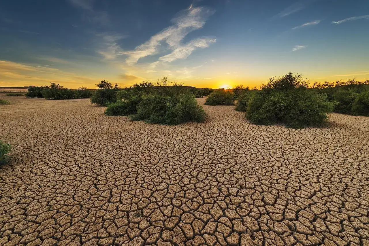 Terre craquelée sous un ciel orangé, témoignage silencieux du réchauffement climatique. Des buissons résistent, mais la sécheresse gagne du terrain.