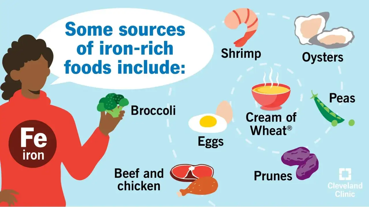 Une personne tient du brocoli, un aliment riche en fer, aux côtés d'autres sources comme les crevettes, les huîtres, les œufs, le bœuf, le poulet, les pois, les pruneaux et la crème de blé.