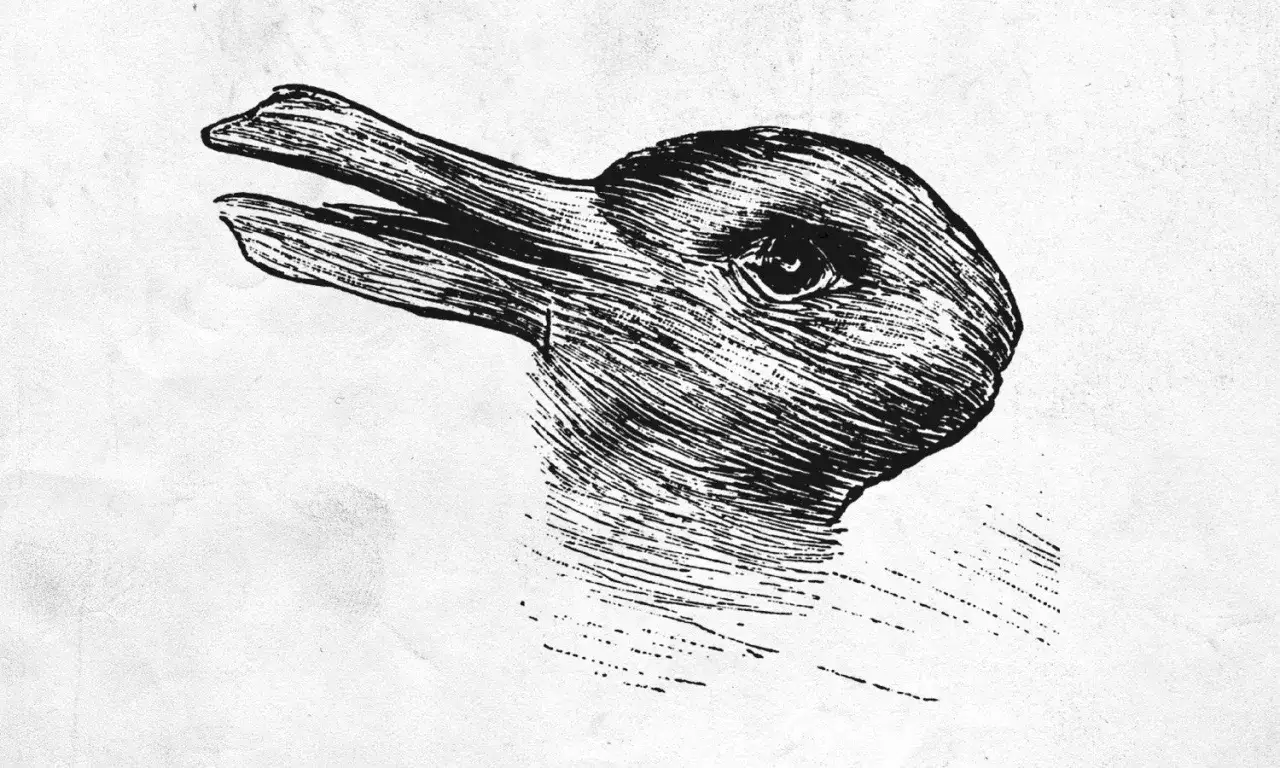 Une illustration en noir et blanc d'une illusion d'optique image cachée : un canard ou un lapin ?