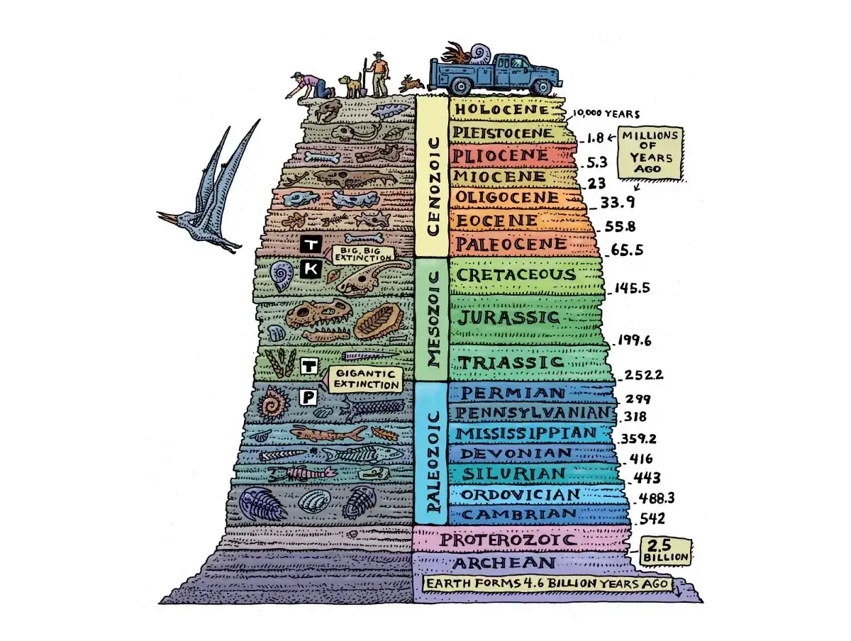 Une coupe stratigraphique illustre l'histoire de la vie, des formes primitives avant les dinosaures aux ères plus récentes.