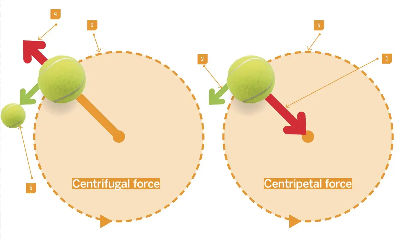Deux balles de tennis illustrent la force centrifuge et la force centripète. La force centrifuge formule est ici représentée par une flèche rouge sortante.