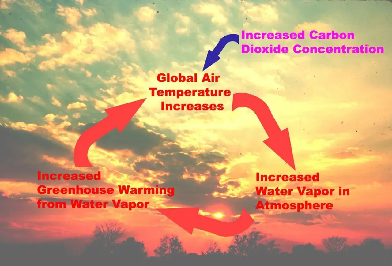 Schéma montrant l'augmentation de la température globale de l'air, la concentration de CO2, et la humidité dans l'air due à la vapeur d'eau.