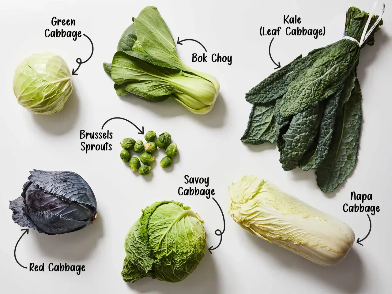 Diverses variétés de choux : chou vert, bok choy, kale, choux de Bruxelles, chou rouge, chou frisé et chou napa.